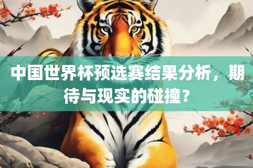 中国世界杯预选赛结果分析，期待与现实的碰撞？