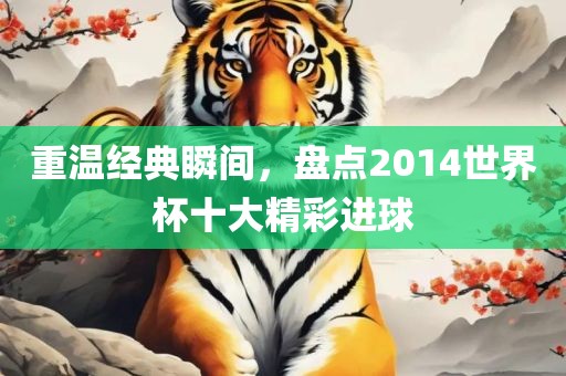 重温经典瞬间，盘点2014世界杯十大精彩进球