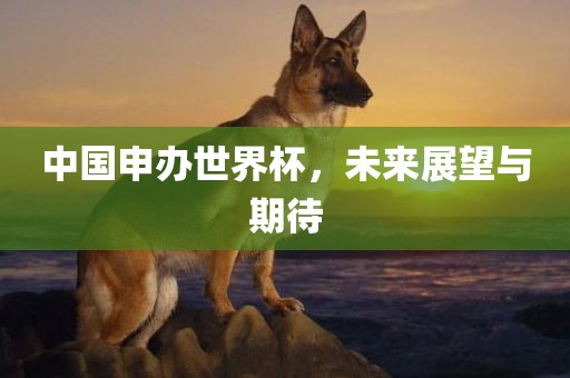 中国申办世界杯，未来展望与期待