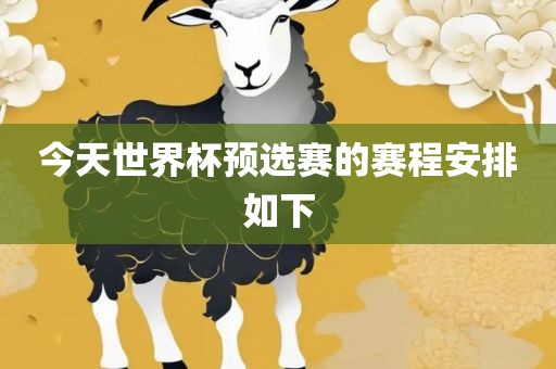 今天世界杯预选赛的赛程安排如下