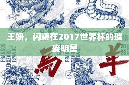 王妍，闪耀在2017世界杯的璀璨明星