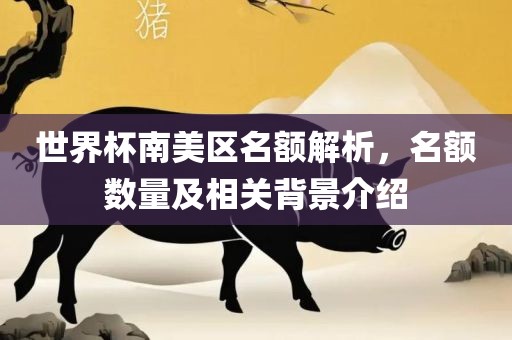 世界杯南美区名额解析，名额数量及相关背景介绍