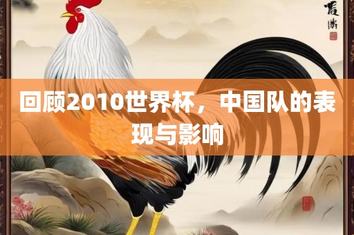 回顾2010世界杯，中国队的表现与影响