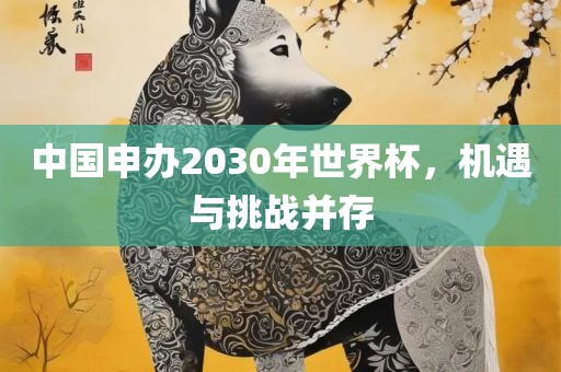 中国申办2030年世界杯，机遇与挑战并存