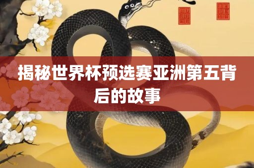 揭秘世界杯预选赛亚洲第五背后的故事漯河市盈旭机械设备有限公司