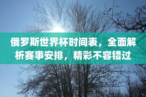俄罗斯世界杯时间表，全面解析赛事安排，精彩不容错过