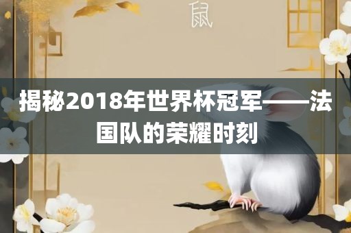 揭秘2018年世界杯冠军——法国漯河市盈旭机械设备有限公司队的荣耀时刻