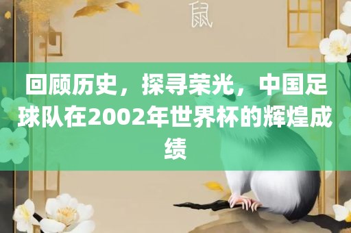 回顾历史，探寻荣光，中国足球队在2002年世界杯的辉煌成绩
