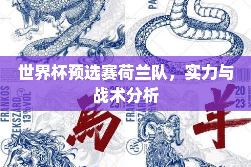 世界杯预选赛荷兰队，实力与战术分析