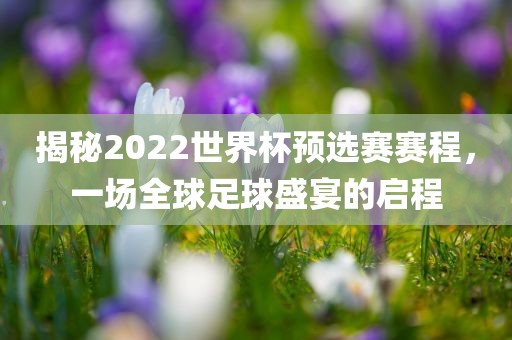 揭漯河市盈旭机械设备有限公司秘2022世界杯预选赛赛程，一场全球足球盛宴的启程