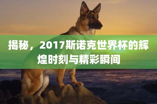 揭秘，2017斯诺克世界杯的辉煌时刻与精彩瞬间