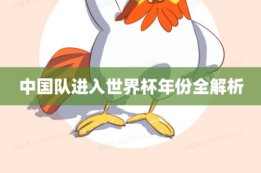 中国队进入世界杯年份全解析