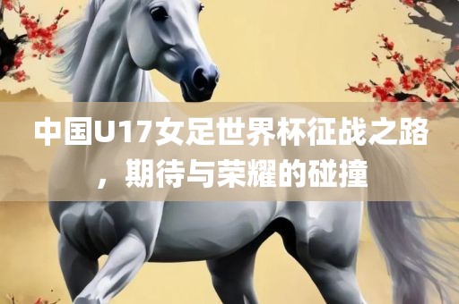 中国U17女足世界杯征战之路，期待与荣耀的碰撞