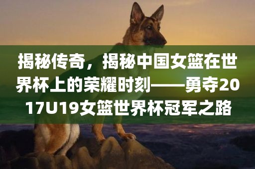 揭秘传奇，揭秘中国女篮在世界杯上的荣耀时刻——勇夺2017U19女篮世界杯冠军之路