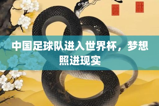 中国足球队进入世界杯，梦想照进现实