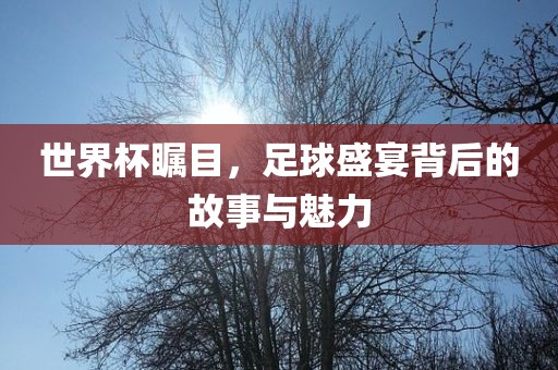世界杯瞩目，足球盛宴背后的故事与魅力