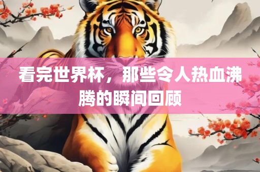 看完世界杯，那些令人热血沸腾的瞬间回顾