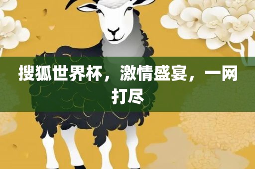 搜狐世界杯，激情盛宴，一网打尽