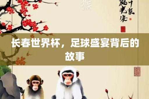 长春世界杯，足球盛宴背后的故事漯河市盈旭机械设备有限公司