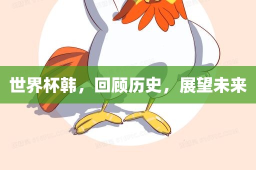 世界杯韩，回顾历史，展望未来