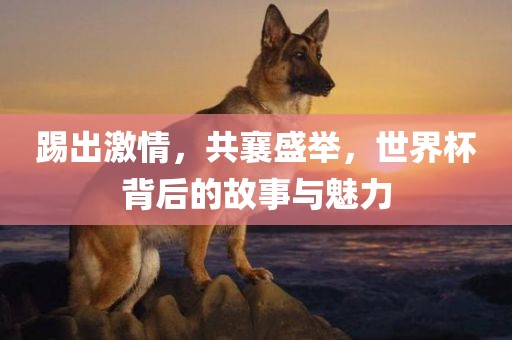 踢出激情，共襄盛举，世界杯背后的故事与魅力