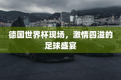 德国世界杯现场，激情四溢的足球盛宴漯河市盈旭机械设备有限公司