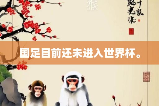 国足目前还未进入世界杯。
