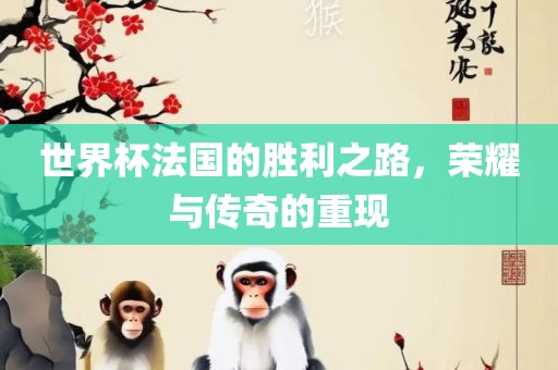 世界杯法国的胜利之路，荣耀与传奇的重现