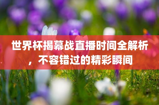 世界杯揭幕战直播时间全解析，不容错过的精彩瞬间