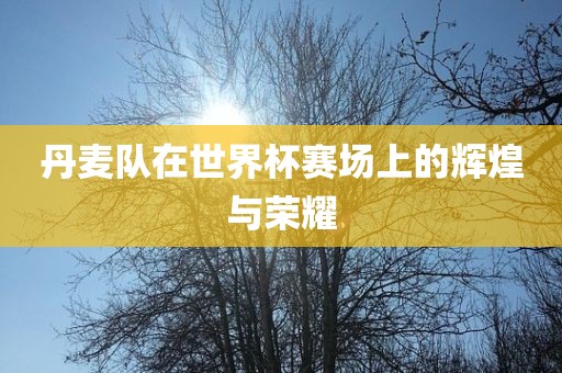 丹麦队在世界杯赛场上的辉煌与荣耀