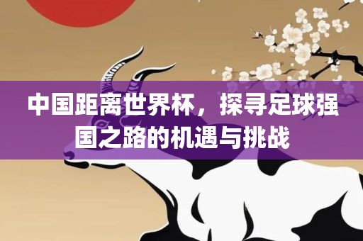 中国距离世界杯，探寻足球强国之路的机遇与挑战