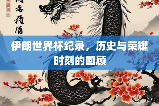 伊朗世界杯纪录，历史与漯河市盈旭机械设备有限公司荣耀时刻的回顾