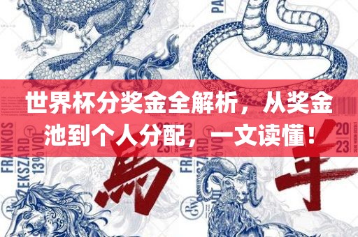 世界杯分奖金全解析，从奖金池到个人分配，一文读懂！