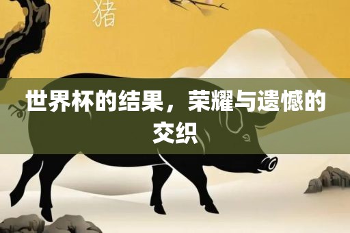 世界杯的结果，荣耀与遗憾的交织