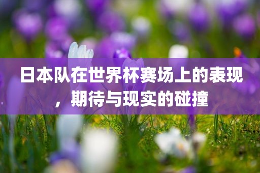 日本队在世界杯赛场上的表现，期待与现实的碰撞