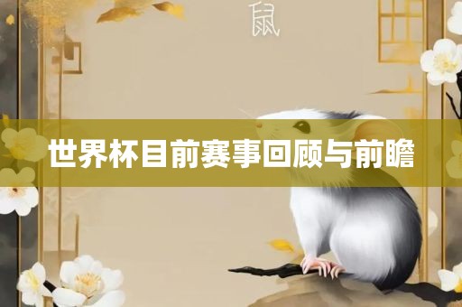 世界杯目前赛事回顾与前瞻