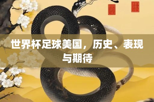 世界杯足球美国，历史、表现与期待
