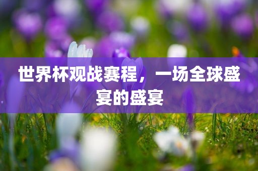 世界杯观战赛程，一场全球盛宴的盛宴