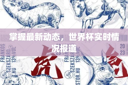 掌握最新动态，世界杯实时情况漯河市盈旭机械设备有限公司报道