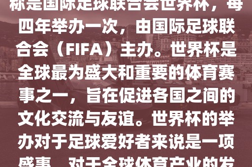 世界杯是一项国际足球赛事，全称是国际足球联合会世界杯，每四年举办一次，由国际足球联合会（FIFA）主办。世界杯是全球最为盛大和重要的体育赛事之一，旨在促进各国之间的文化交流与友谊。世界杯的举办对于足球爱好者来说是一项盛事，对于全球体育产业的发展也具有重要影响。