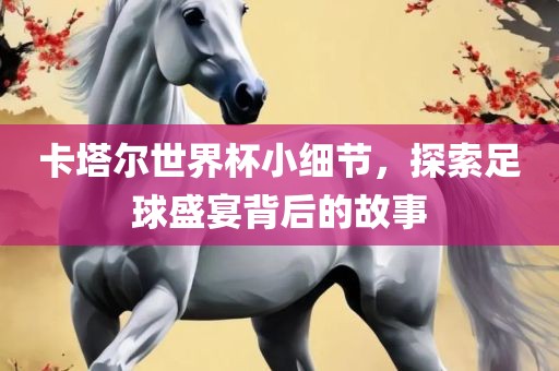 卡塔尔世界杯小细节，探索足球盛宴背后的故事