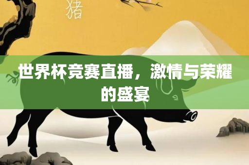 世界杯竞赛直播，激情与荣耀的盛宴