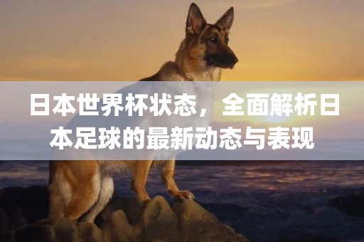 日本世界杯状态，全面解析日本足球的最新动态与表现