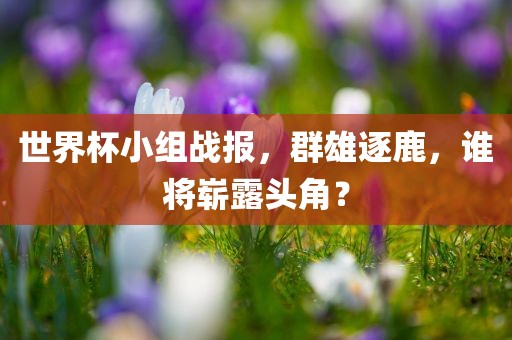 世界杯小组战报，群雄逐鹿，谁将崭露头角？