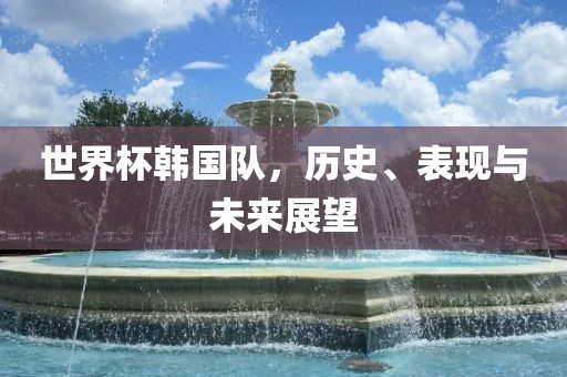 世界杯韩国队，历史、表现与未来展望