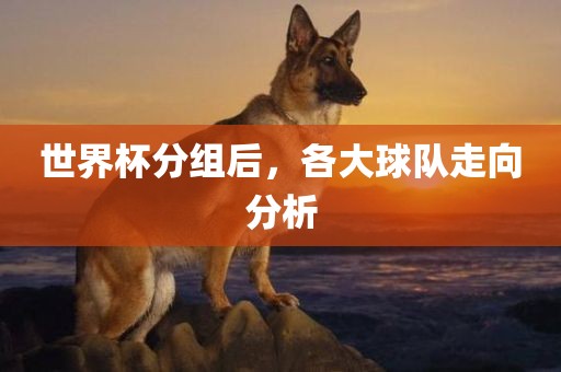世界杯分组后，各大球队走向分析