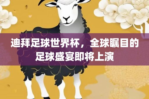 迪拜足球世界杯，全球瞩目的足球盛宴即将上演漯河市盈旭机械设备有限公司