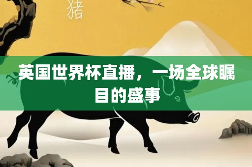 英国世界杯直播，一场全球漯河市盈旭机械设备有限公司瞩目的盛事