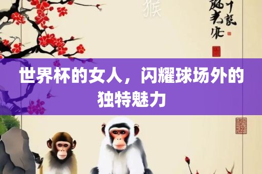 世界杯的女人，闪耀球场外的独特魅力漯河市盈旭机械设备有限公司