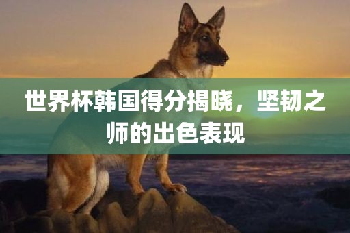 世界杯韩国得分揭晓，坚韧之师的出色表现